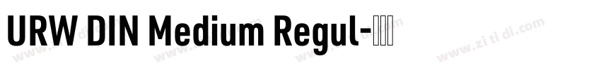 URW DIN Medium Regul字体转换
